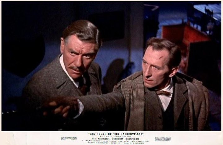 Le chien des Baskerville