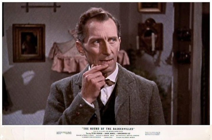 Le chien des Baskerville