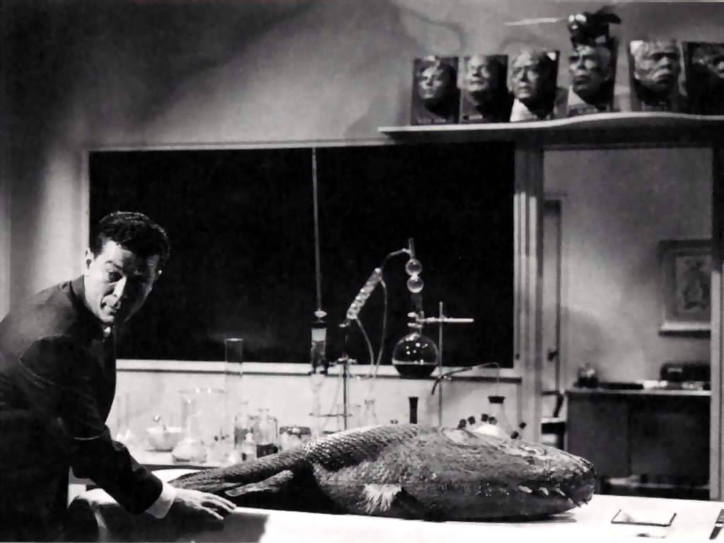 Monster on the Campus