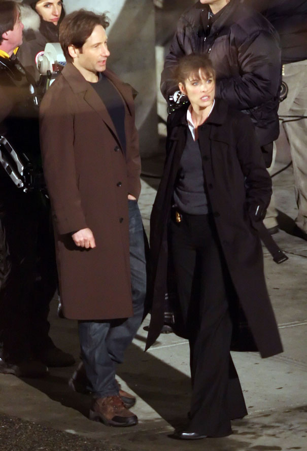 David Duchovny et Amanda Peet