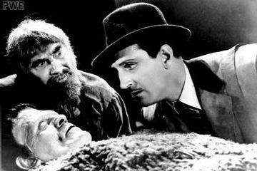 LE FILS DE FRANKENSTEIN