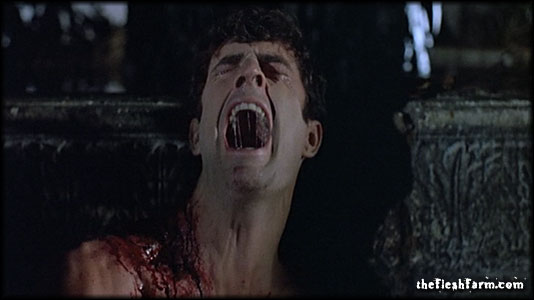 Dellamorte, Dellamore