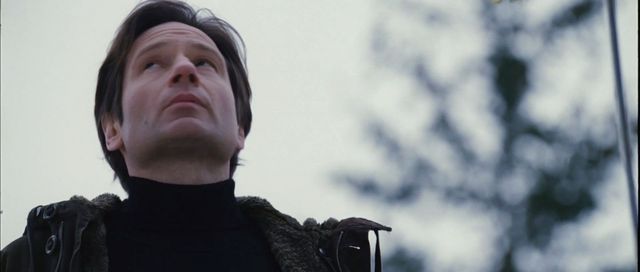 X-Files : Régénération