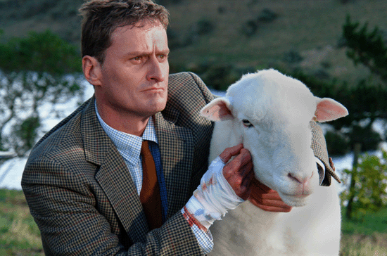 THE BLACK SHEEP
