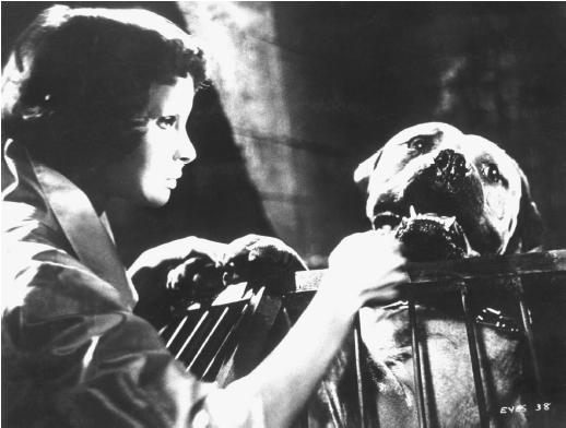 LES YEUX SANS VISAGE