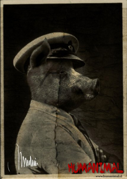 dessin de production