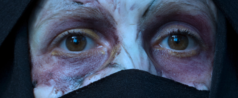 Actuellement en tournage, "Scars of Youth" est le nouveau film du jeune John R. Hand, auquel on doit en 2006 le remarqué "Frankenstein's Bloody Nightmare" (suite ci-dessous)