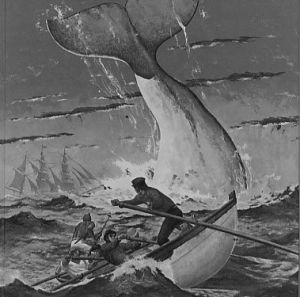 Universal va confier à Timur Bekmambetov le soin de tourner une nouvelle version de "Moby Dick" (suite ci-dessous)