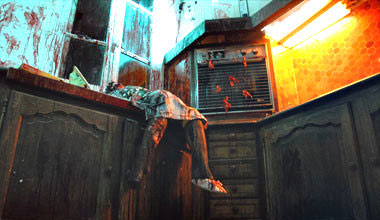 ....En même temps, Yanka dirige une enquête qui la conduit à découvrir d'horribles crimes, à l'image du carnage sanglant qu'elle commit elle-même étant sous l'influence d'un monstre lors de ses premières années d'existence...