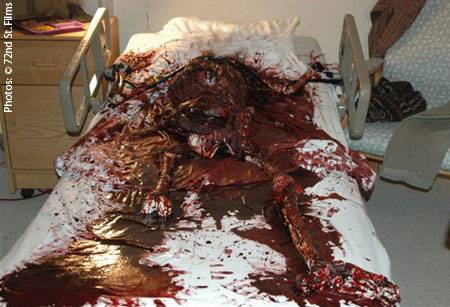 .... George A. Romero a enchaîné avec la suite, en tournage actuellement, un troisième volet étant également en projet. L'action de ce second volet se situe dans la petite bourgade de Connellsville, où sévit notamment un loup-garou.