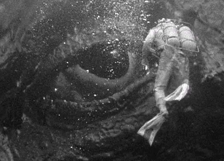 It Came From Beneath the Sea (1955,dir. Robert Gordon)