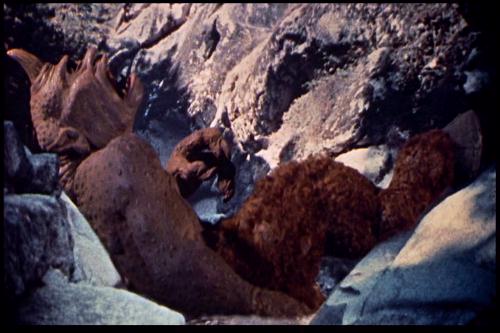 Le 7e Voyage de Sinbad