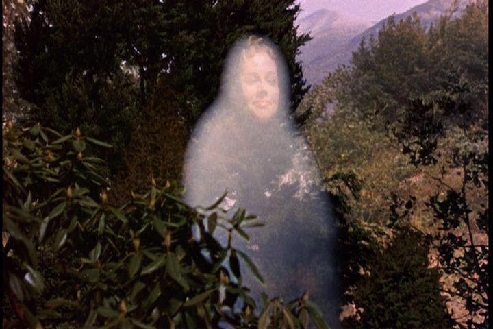 Jason et les Argonautes