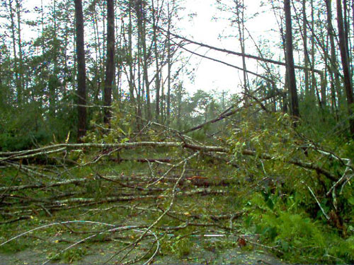 La légende de "Zombie Road" portée à l'écran dans un film d'horreur en 3D (suite ci-dessous)