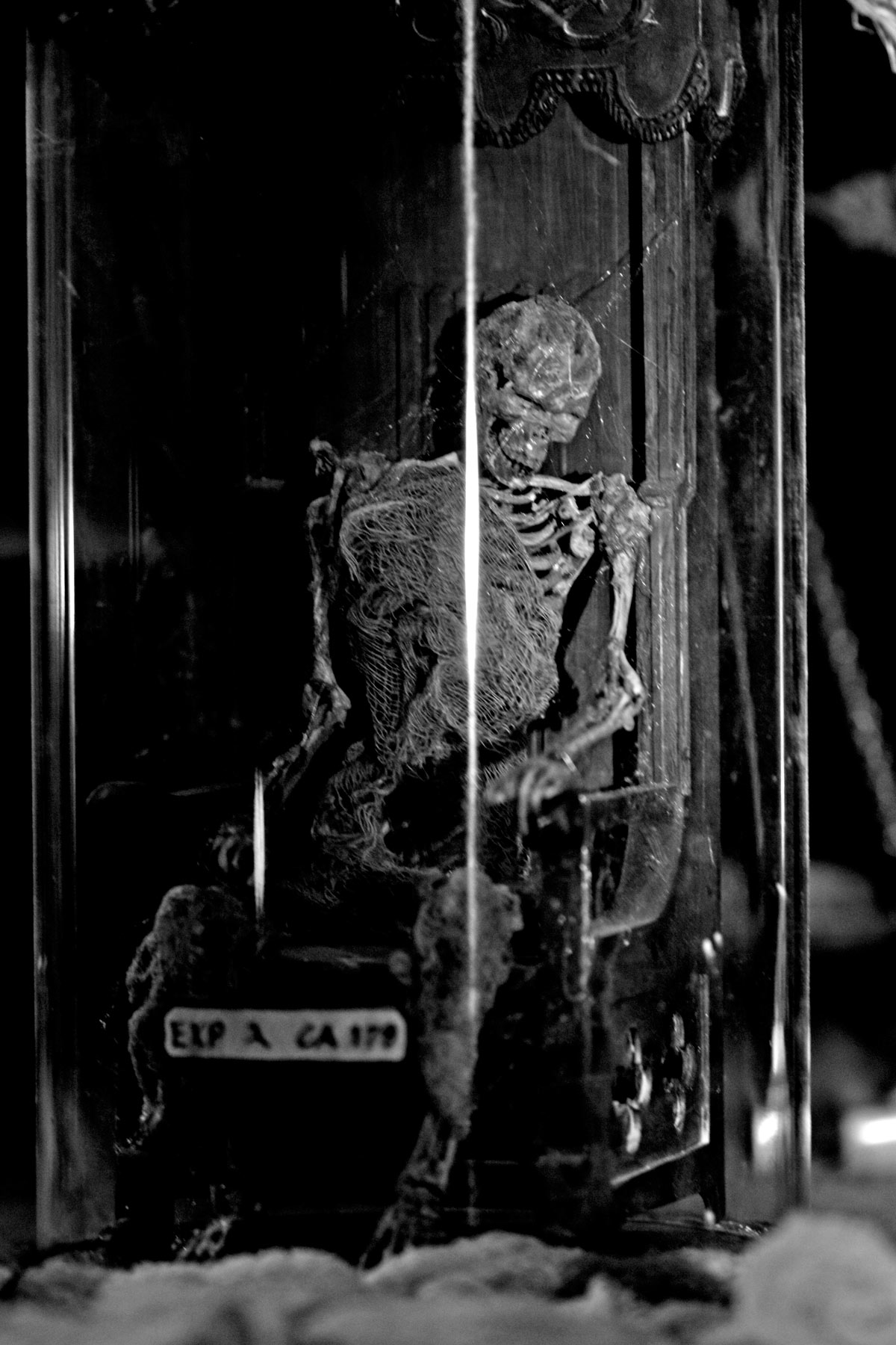 House of the Wolfman