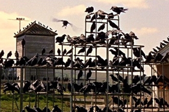 Dennis Illiades ("La dernière maison sur la gauche") aurait apparemment remplacé Martin Campvell (Goldeneye) sur le remake des "Oiseaux", qu'envisage de produire Platinum Dunes (voir ci-dessous)