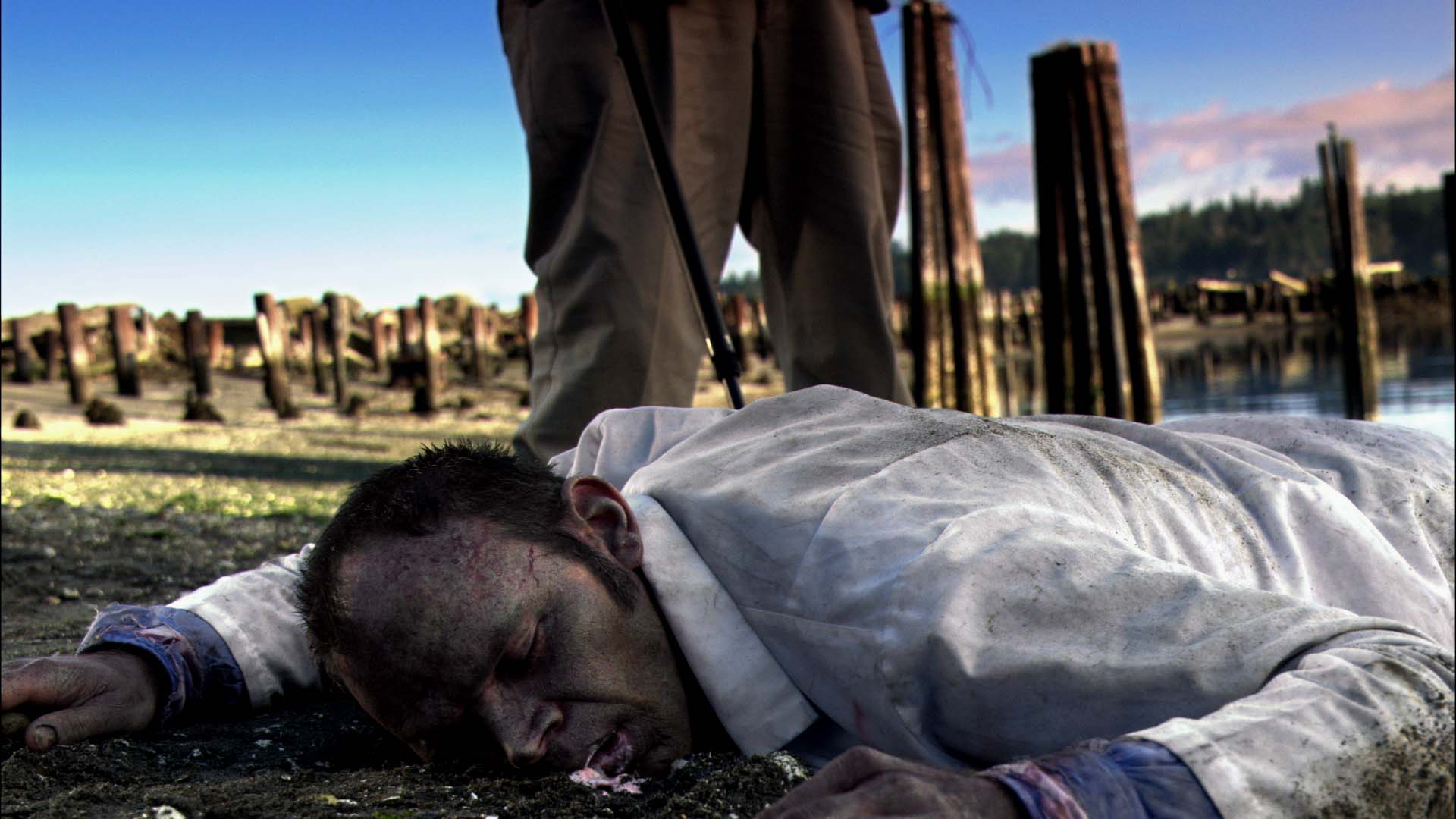 Zombies of Mass Destruction