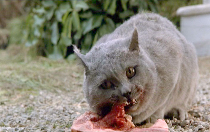 Un nouveau scénariste pour le remake de SIMETIERRE (voir ci-dessous)