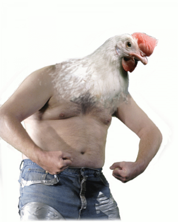 Comédie d'horreur indépendante en préparation depuis 4 ans, "The Cannibal Chicken Eaters" se tourne enfin sous la direction de Matt Cooke et Vince Lund. La situation d'un jeune couple aux relations difficiles va se compliquer davantage dans un monde ...