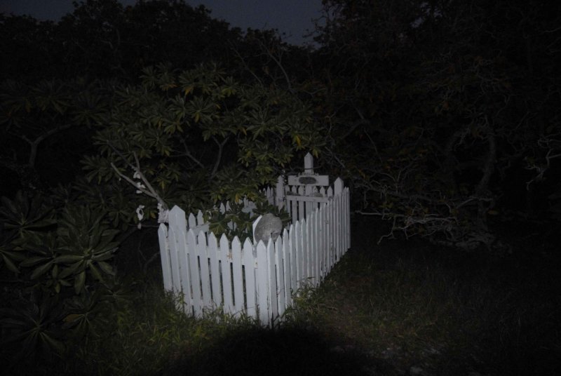 Dans l'australien "Uninhabited", survival surnaturel dans la lignée de "Vinyan", écrit et tourné par Bill Bennett dans le cadre enchanteur de la Grande Barrière de Corail, un jeune couple se rendant sur une île de corail isolée....
