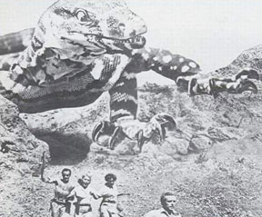 King Dinosaur