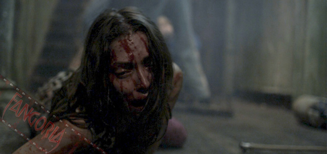 "Spiderhole" : un prometteur triller d'horreur irlandais (voir ci-dessous)