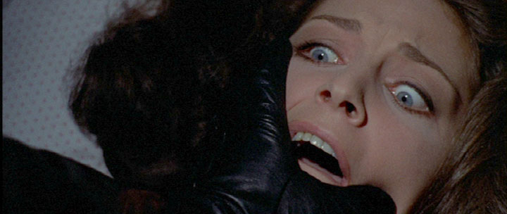 L'oiseau au plumage de cristal