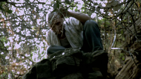 Monsters in the Woods