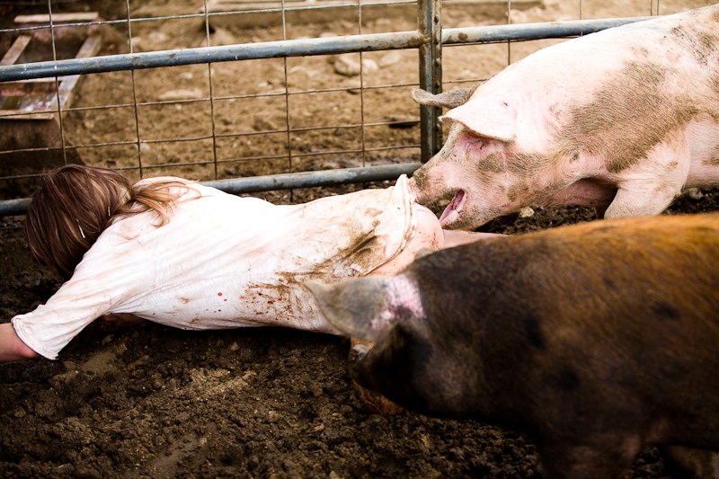 Nouveau slasher,  "Madison County" voit de jeunes collégiens se rendre dans une ville isolée afin d'interviewer l'auteur d'un livre contenant des révélations sur les meurtres macabres ayant ensanglanté la bourgade (voir ci-dessous)