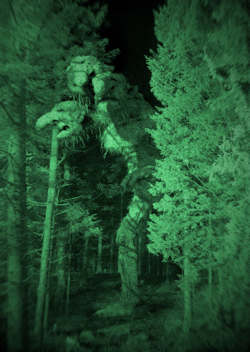 The Troll Hunter