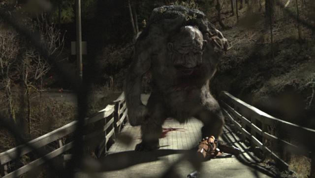 The Troll Hunter