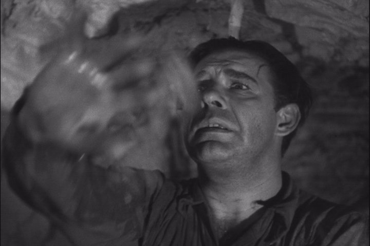 FRANKENSTEIN RENCONTRE LE LOUP-GAROU