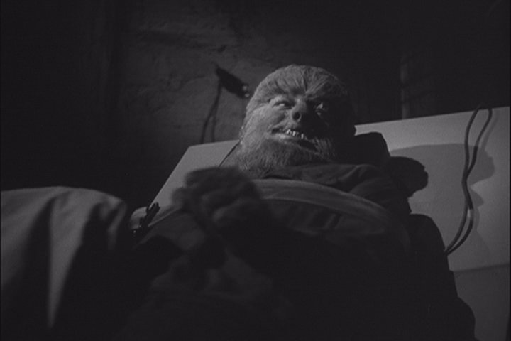 FRANKENSTEIN RENCONTRE LE LOUP-GAROU