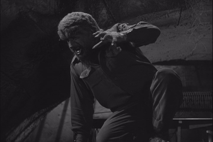 FRANKENSTEIN RENCONTRE LE LOUP-GAROU