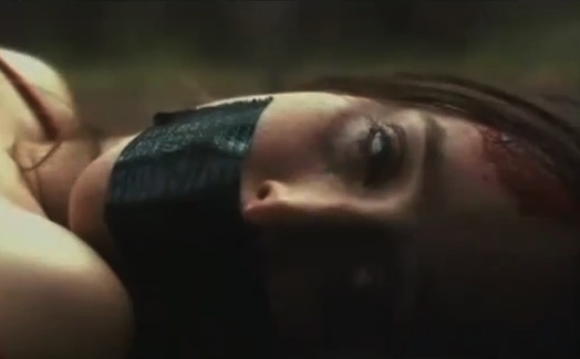 Après avoir rédigé des articles sur des centaines de longs-métrages, le critique de cinéma Aharon Keshlers a décidé de réaliser son propre film, le premier slasher tourné en Israël : "Rabies".... (voir ci-dessous)