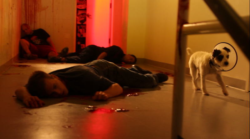 Play Dead (2011)