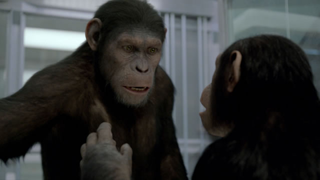 Rise of the Planet of tge Apes