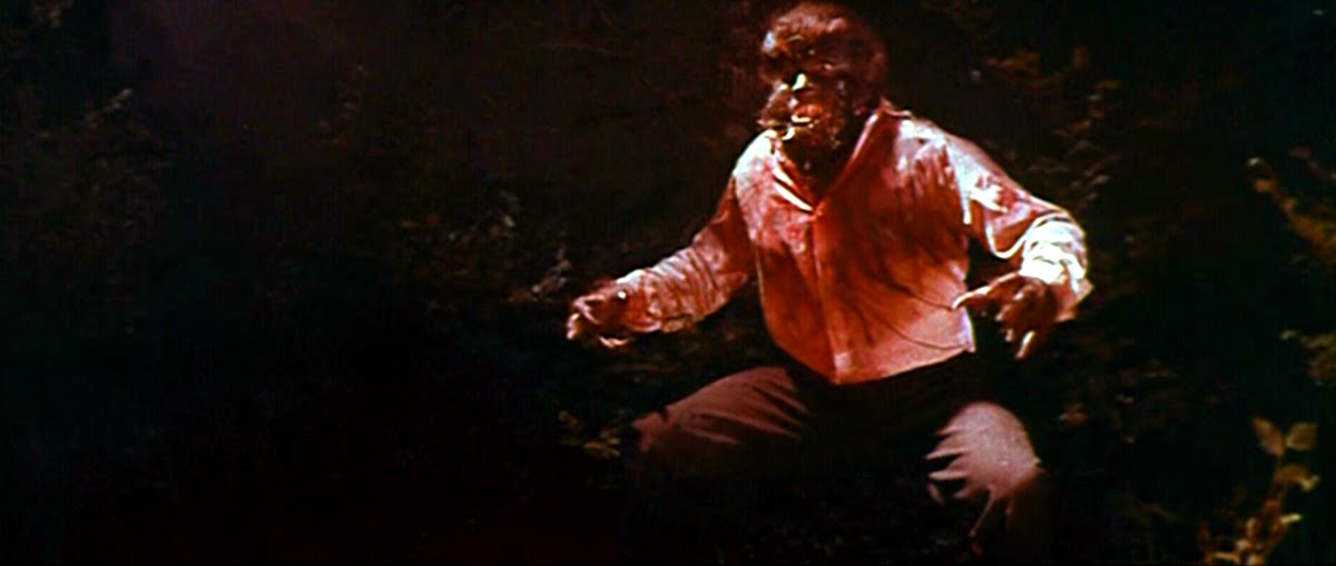 la furie du loup-garou...