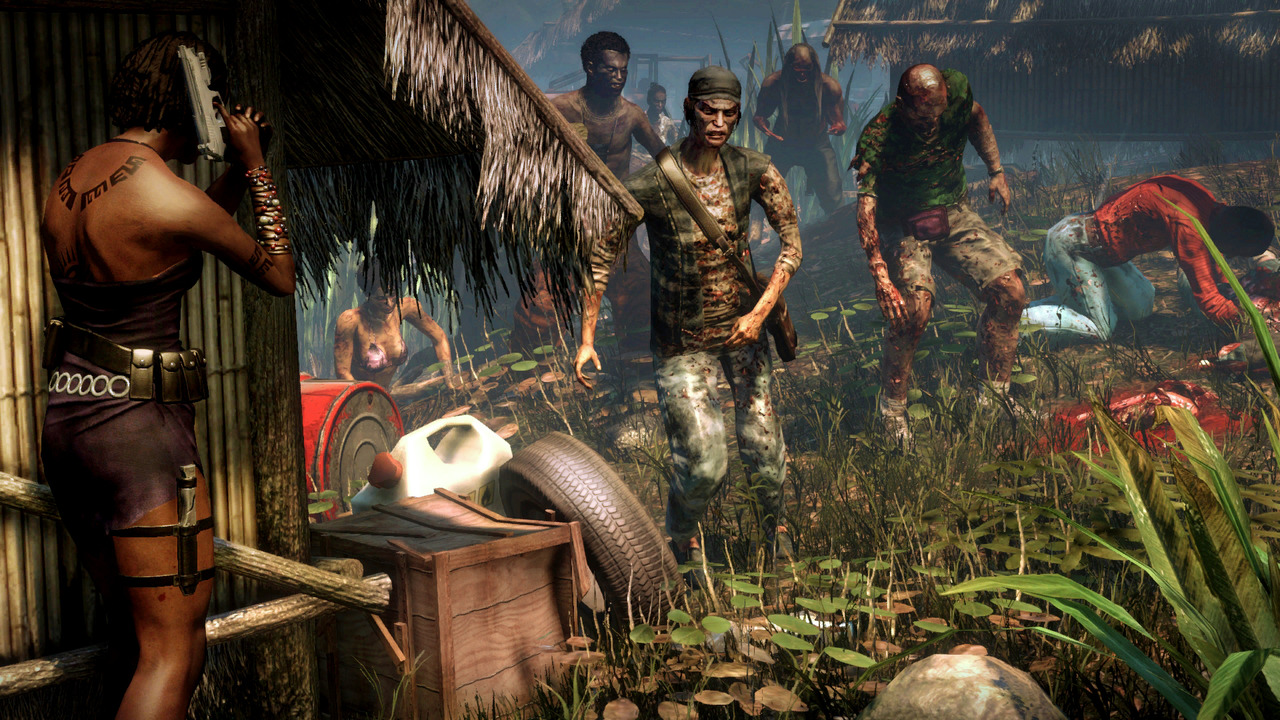 L'histoire se situe sur une île enchanteresse où les touristes doivent hélas faire face à une invasion de zombies. Sorti le 8 septembre 2011 en France, le jeu, développé par Deep Silver, s'est déjà vendu à 2 millions d'exemplaires.