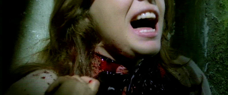 LA MAISON PRES DU CIMETIERRE