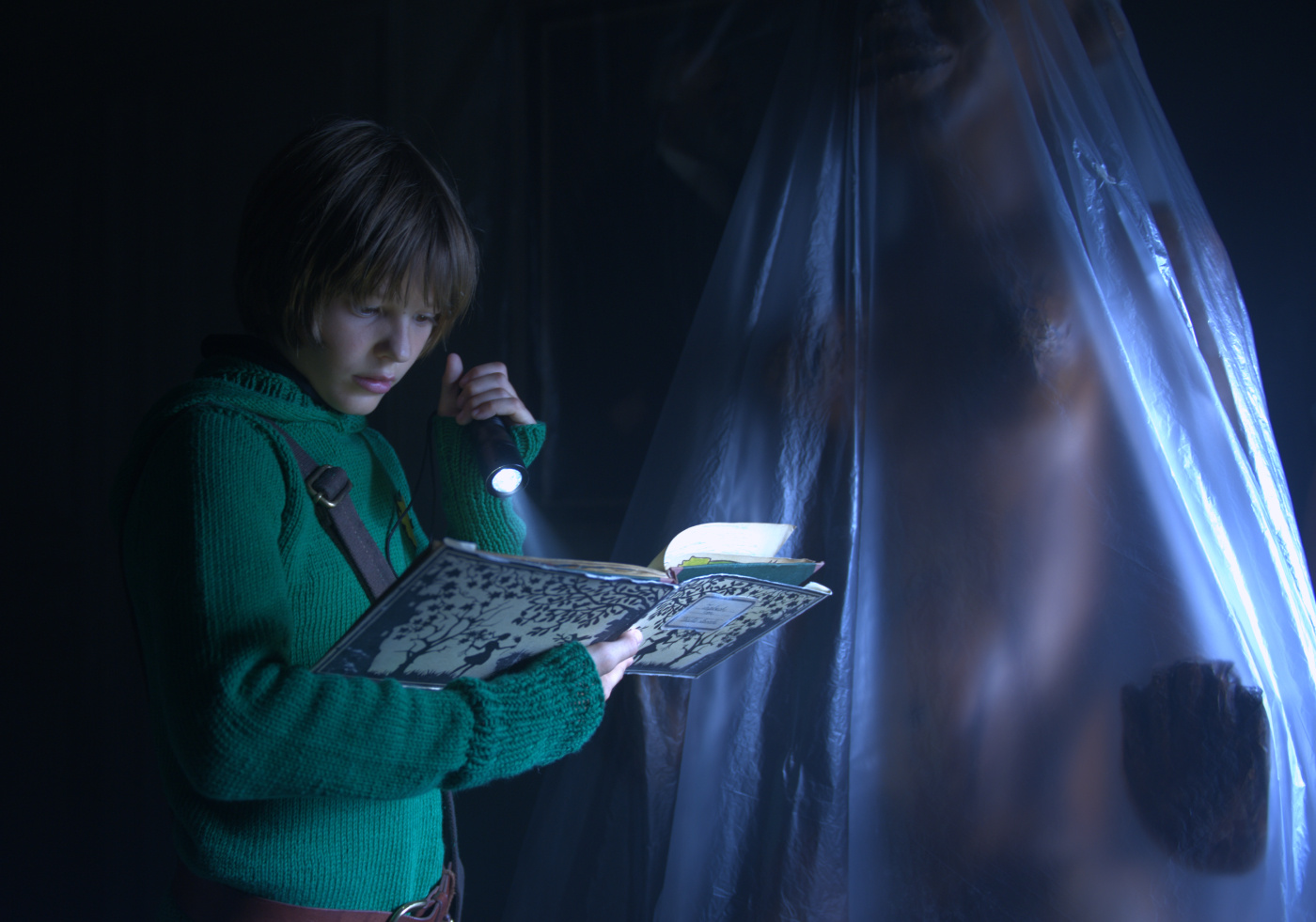 "Das Haus der Krokodile", co-réalisé par Cyrill Boss et Philipp Stennert, est un film fantastique familial, adapté d'un best-seller de Helmut Ballot distribué voici trois mois outre-Rhin (voir ci-dessous)