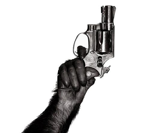 "Dawn of the Planet of the Apes" sortira  aux USA pour le Memorial Day 2014... (voir ci-dessous)