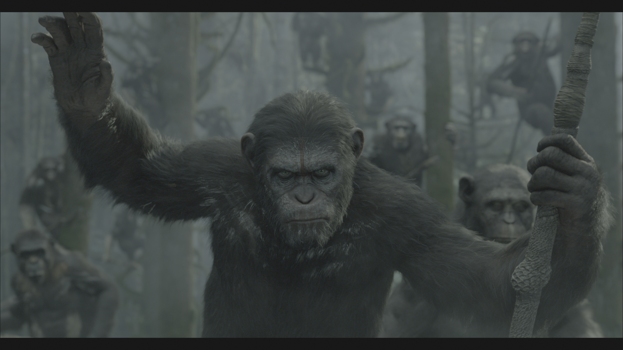 Dawn of the Planet of the Apes (voir ci-dessous)