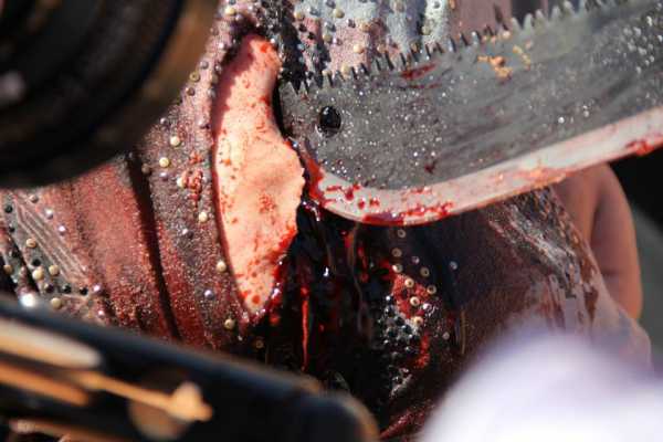 Seed 2 : The New Breed