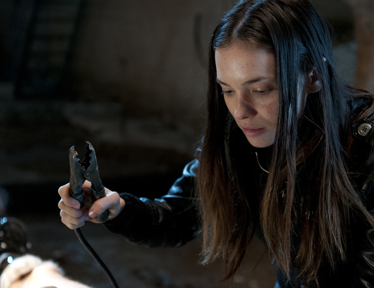 I Spit on Your Grave 2 (2013)