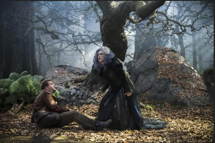 Into the Woods