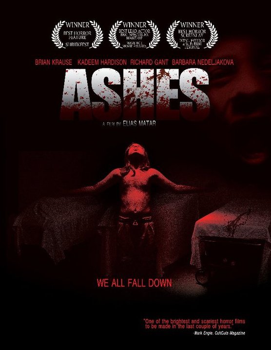 Mêlant action et horreur, "Devil's Door" est le second film d'Elias Matar, auquel on doit en 2010 le thriller de SF "Ashes" (voir ci-dessous)
