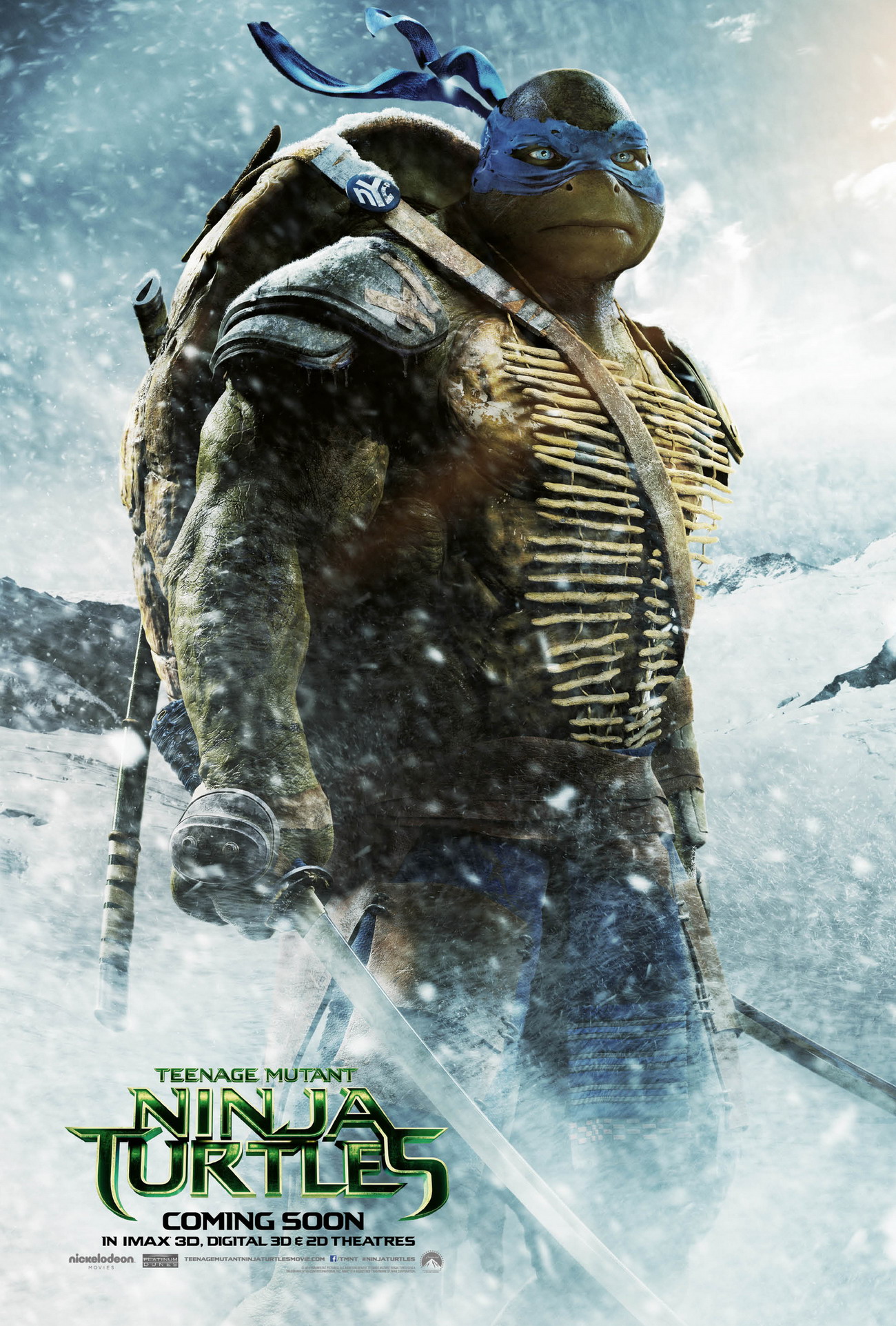 Teenage Mutant Ninja Turtles