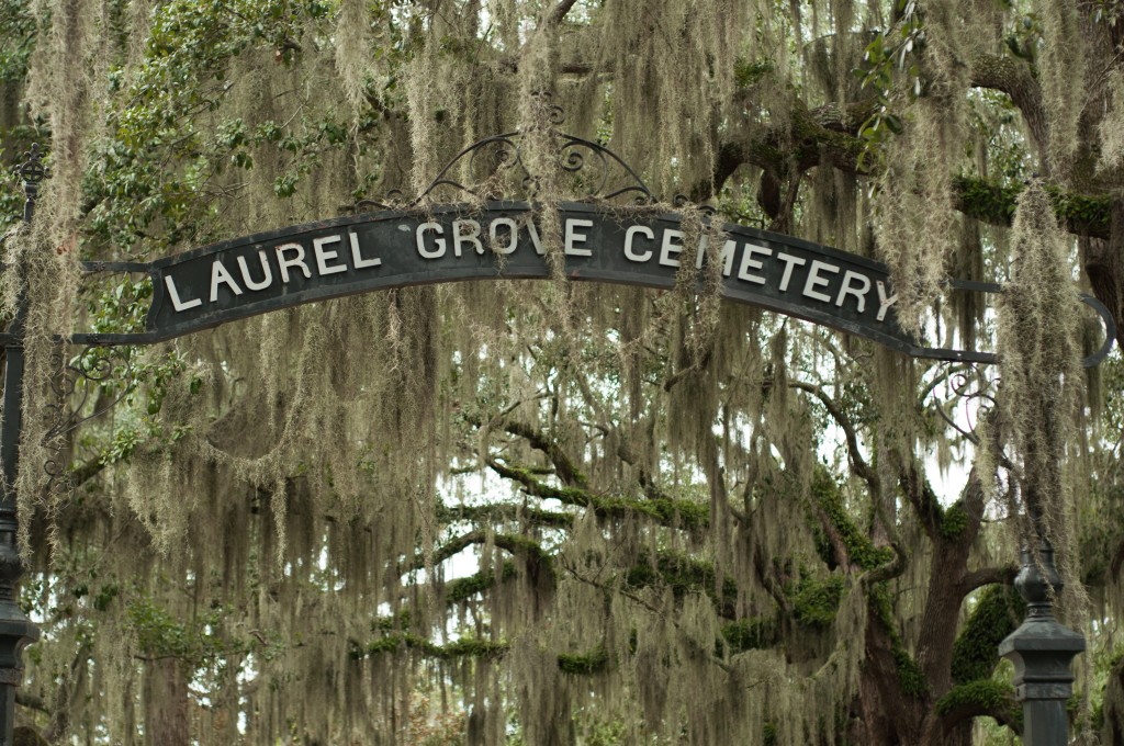 Après "Storage 24", "The Damned", toujours produit par Manu Kuraman, nouvelle plongée dans l'horreur pour les studios Medient, et dont le tournage se déroulera à Savannah..... (voir ci-dessous).