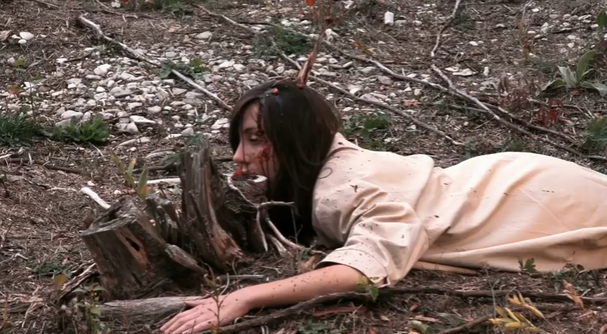 La comédie d'horreur "The Cabining", de Steve Kopera, sera distribuée aux USA le 16 janvier (voir ci-dessous)